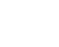 MS Logo